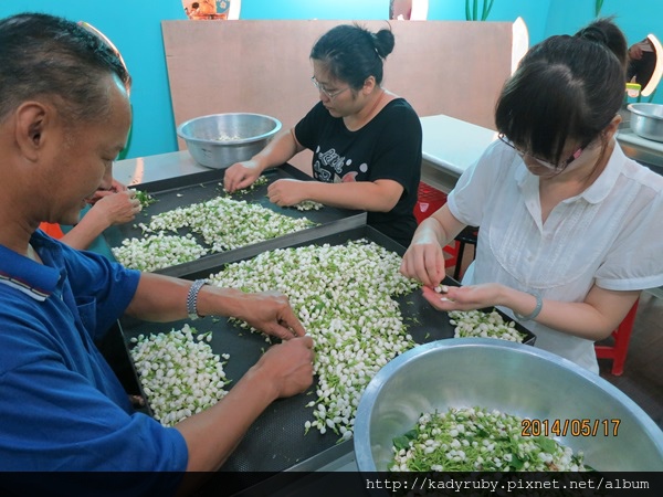 IMG_4509.JPG IMG_4509.JPG