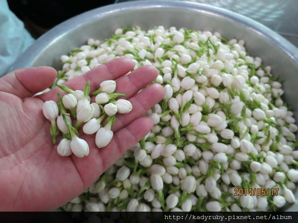 IMG_4511.JPG IMG_4511.JPG