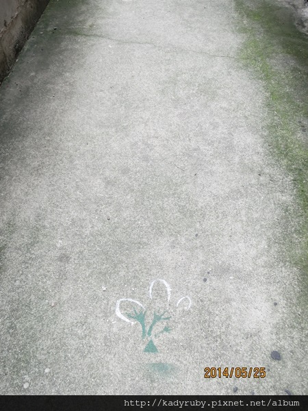 IMG_4584.JPG IMG_4584.JPG