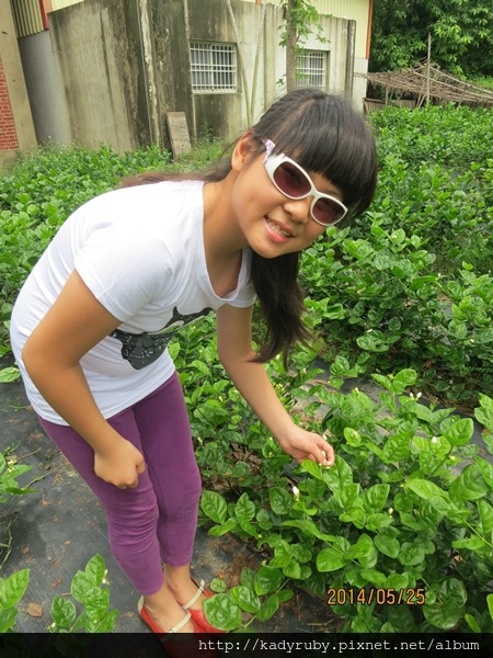 IMG_4585.JPG IMG_4585.JPG