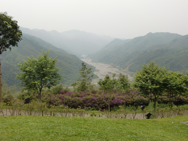 薰衣草森林美景 薰衣草森林美景