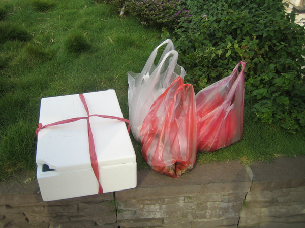 IMG_2639.JPG IMG_2639.JPG