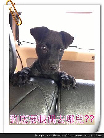 IMG_3868.JPG IMG_3868.JPG