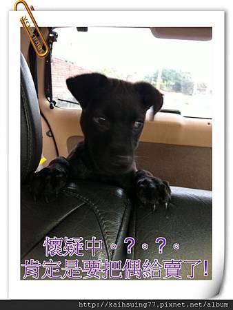 IMG_3869.JPG IMG_3869.JPG