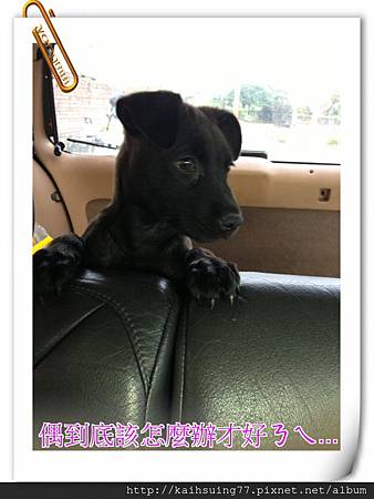 IMG_3870.JPG IMG_3870.JPG