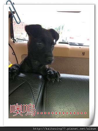 IMG_3871.JPG IMG_3871.JPG