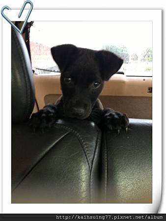 IMG_3867.JPG IMG_3867.JPG