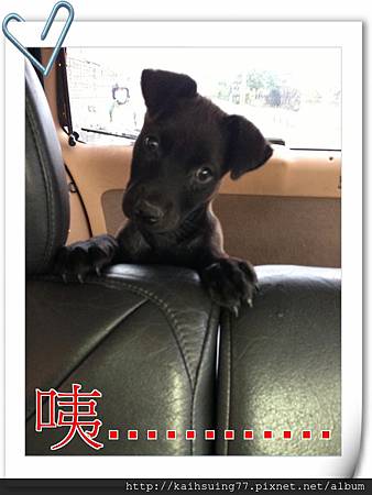 IMG_3872.JPG IMG_3872.JPG