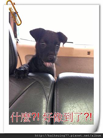 IMG_3874.JPG IMG_3874.JPG