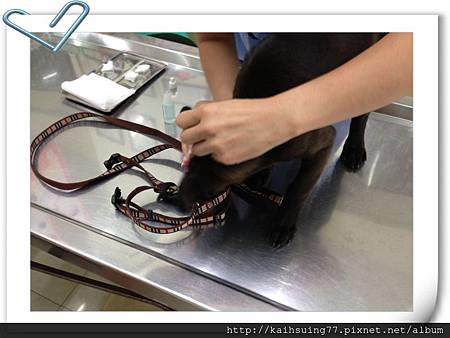 IMG_3876.JPG IMG_3876.JPG