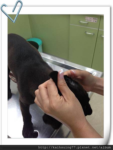 IMG_1006.JPG IMG_1006.JPG