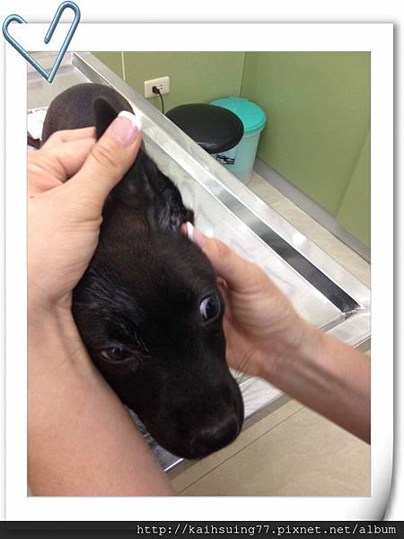 IMG_1008.JPG IMG_1008.JPG