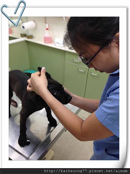 IMG_1011.JPG IMG_1011.JPG