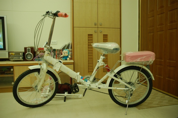 DSC_0339.JPG DSC_0339.JPG