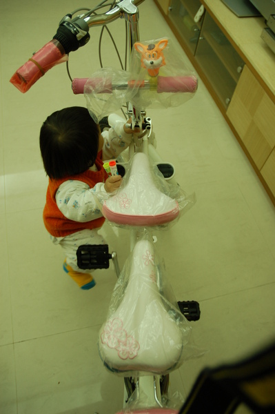 DSC_0341.JPG DSC_0341.JPG