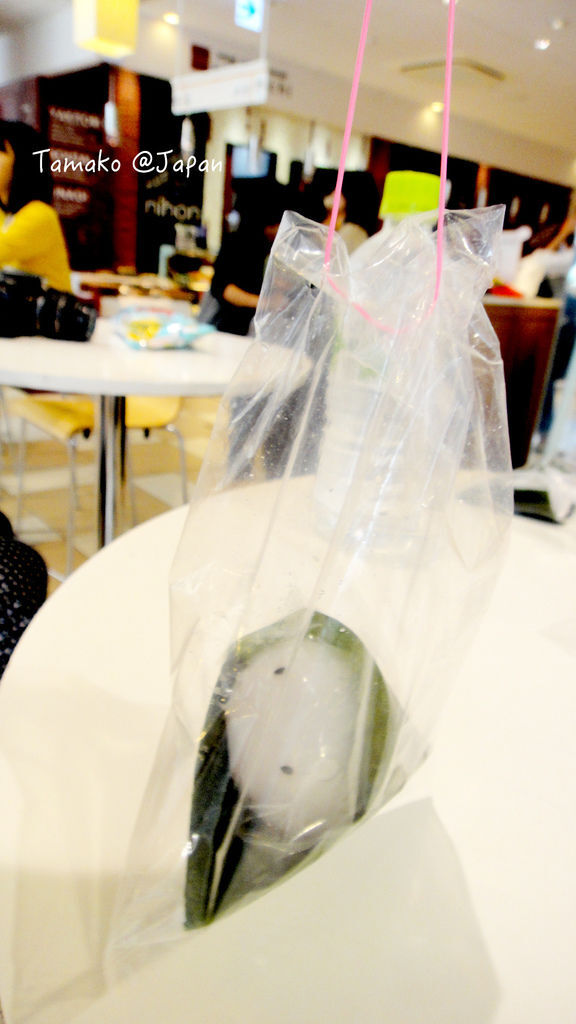 DSC05528.jpg DSC05528.jpg