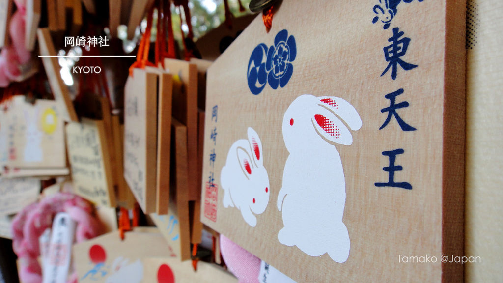 DSC03195.jpg DSC03195.jpg