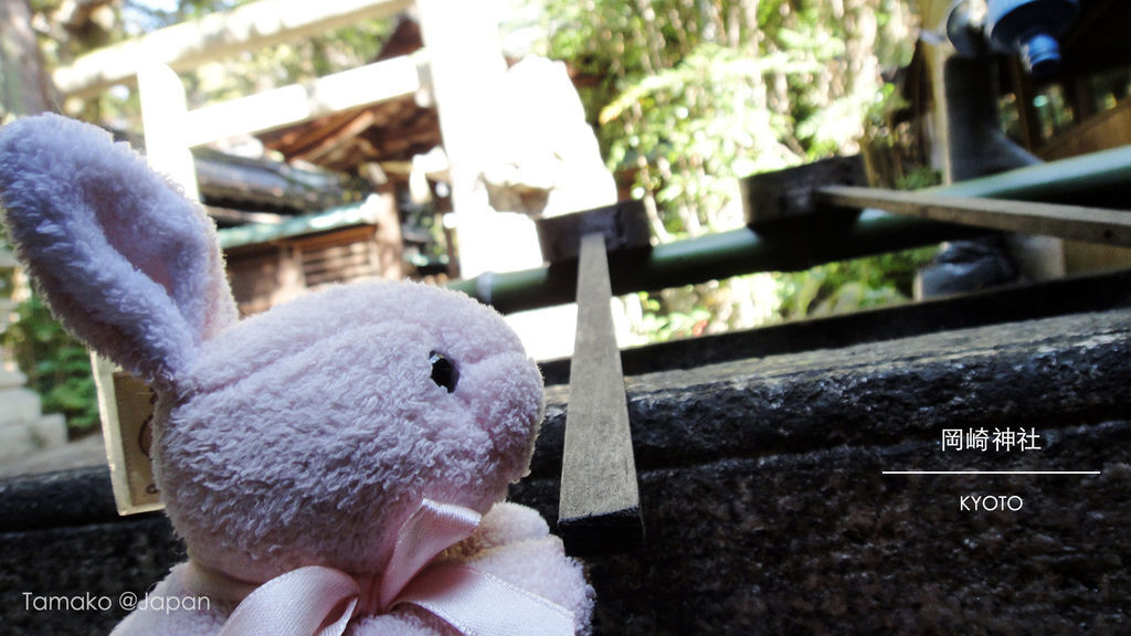 DSC03210.jpg DSC03210.jpg