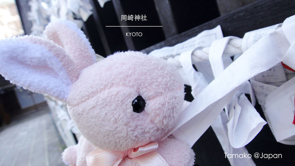 DSC03223.jpg DSC03223.jpg