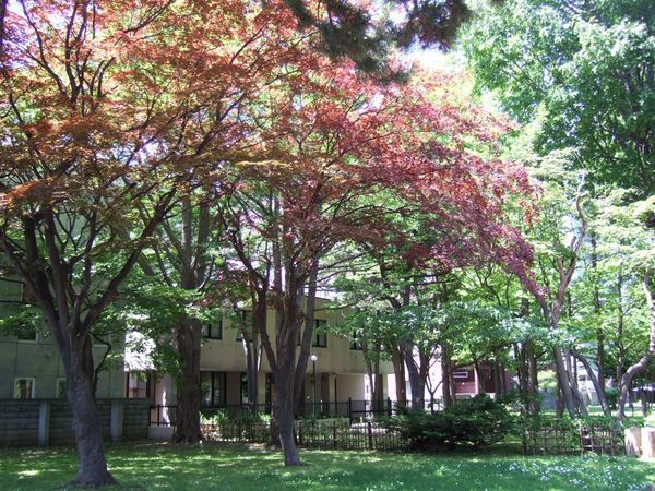 今天就要回台灣囉