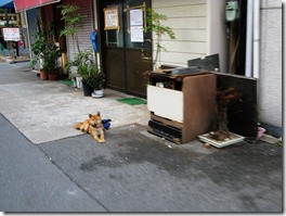 IMG_5083_調整大小 IMG_5083_調整大小