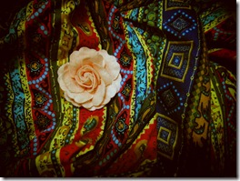 DSC02317.JPG_effected DSC02317.JPG_effected