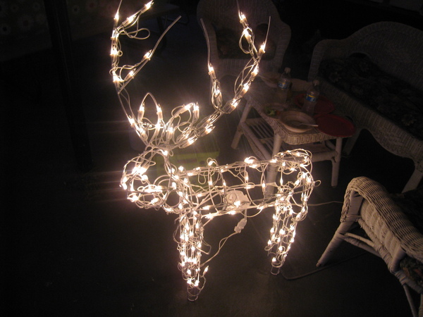 deer deer