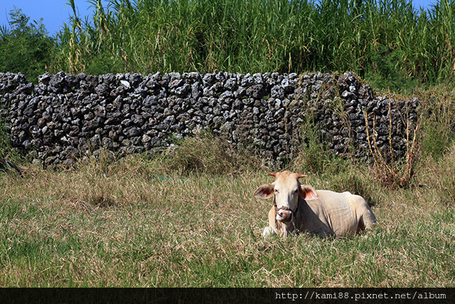 IMG_2339.jpg IMG_2339.jpg