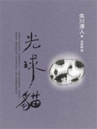 lighteningcat lighteningcat