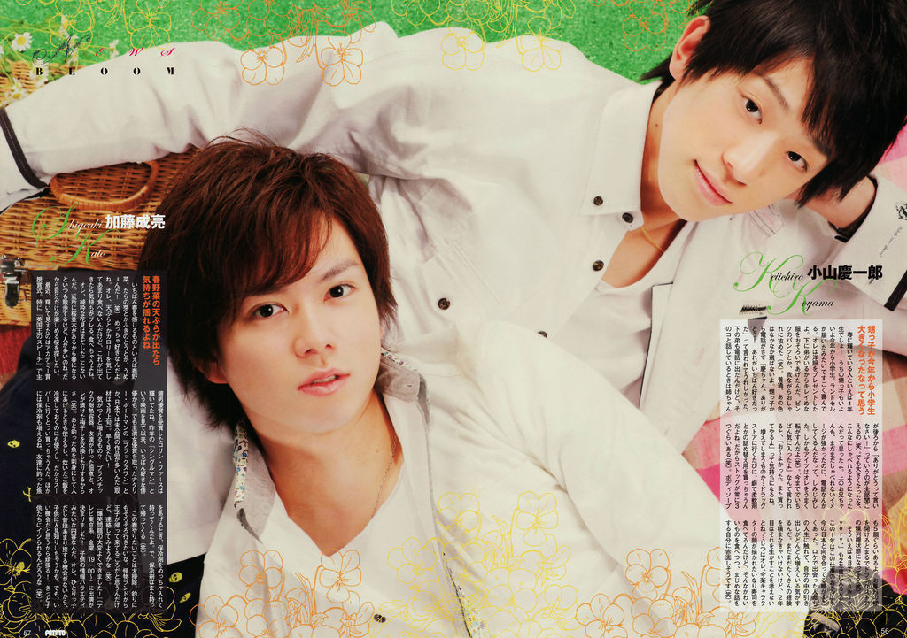 potato 2011 koyashige.jpg potato 2011 koyashige.jpg