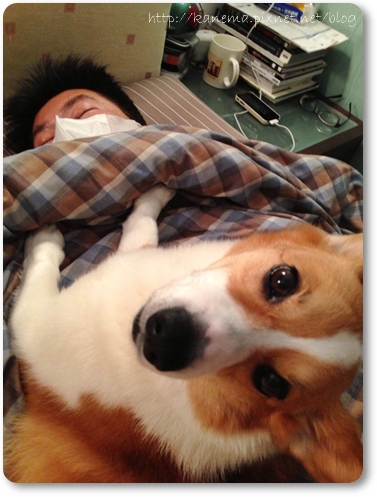 AAC_3733 AAC_3733