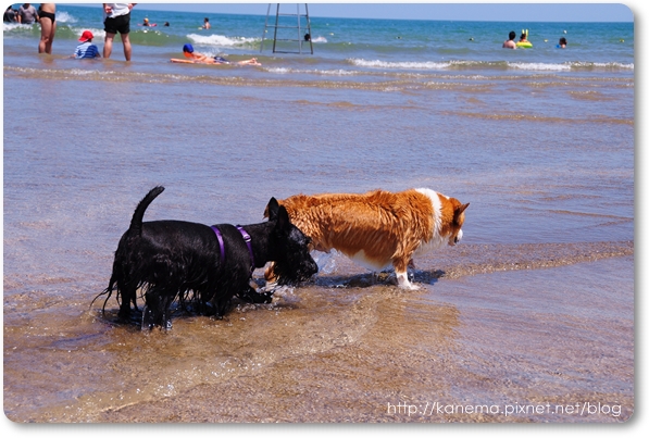 DSC_5446.JPG DSC_5446.JPG