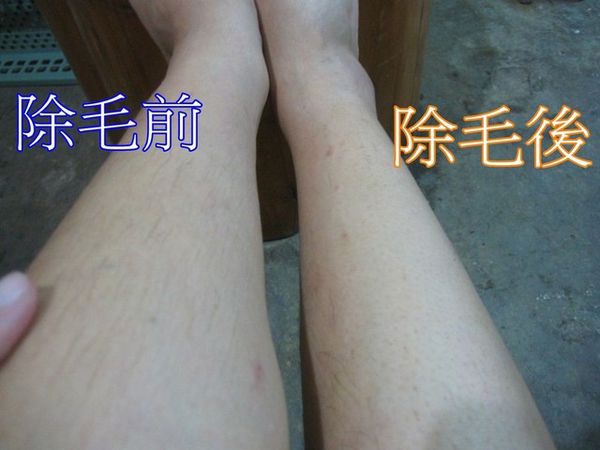 17 試用
