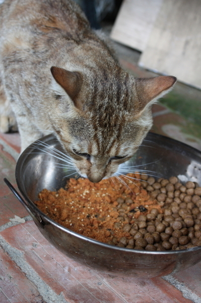 2008_05_25 134.jpg 2008_05_25 134.jpg