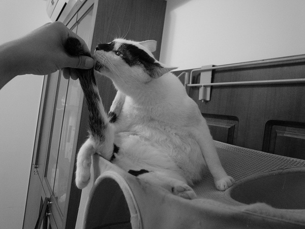 R0019539.JPG R0019539.JPG