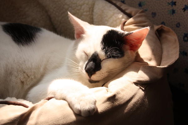 IMG_9758.JPG IMG_9758.JPG