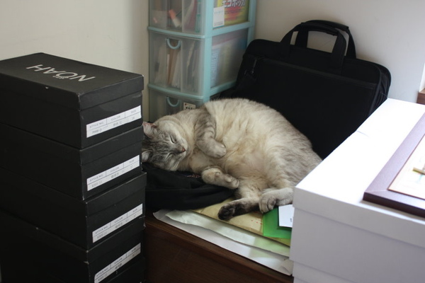 IMG_9777.JPG IMG_9777.JPG