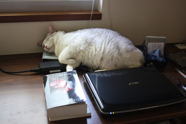 IMG_9781.JPG IMG_9781.JPG