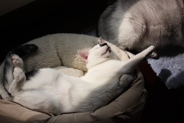 IMG_9968.JPG IMG_9968.JPG