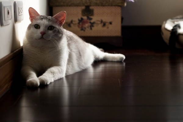 IMG_0788.jpg IMG_0788.jpg