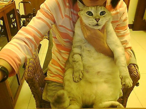 3432157_610536da5d4d345621db224c81f83fd5.jpg 3432157_610536da5d4d345621db224c81f83fd5.jpg