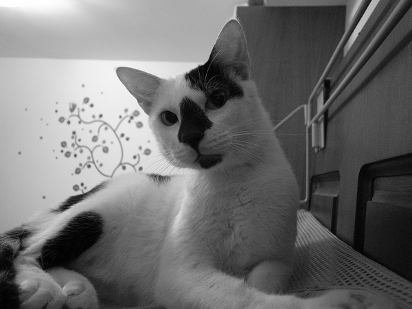 R0019503.JPG R0019503.JPG