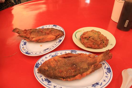 IMG_20110702%20(七股)%2018