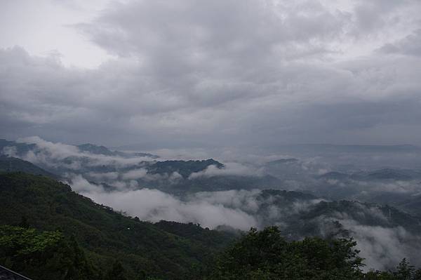 IMGP6730 IMGP6730