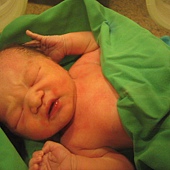 971107-06.JPG 971107-06.JPG