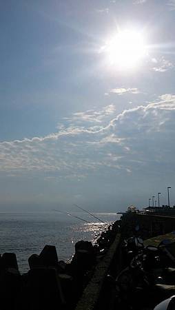 984120_4182339652808_6953375105384836575_n