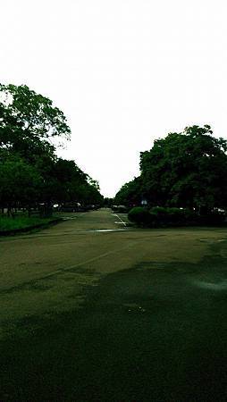 10273891_4164976618743_597249097102039074_n