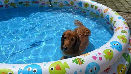 984164_4355192974033_6545435115288394704_n.jpg 984164_4355192974033_6545435115288394704_n.jpg