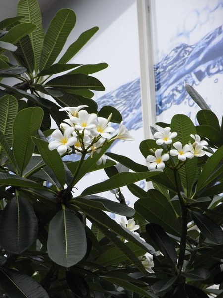 RIMG0065_大小 .JPG RIMG0065_大小 .JPG