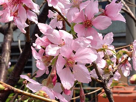 2012-03-30 12:10:44 2012-03-30 12:10:44
